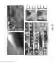 Fig. 26 - CARDIAC CATHETER EMPLOYING CONFORMAL ELECTRONICS FOR MAPPING