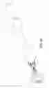 Fig. 43 - DEVICE AND METHODS OF INVERTING A DIVERTICULUM