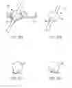 Fig. 35 - Surgical access devices and methods providing seal movement in predefined movement regions
