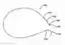 Fig. 01 - Barbed suture having increased holding strength