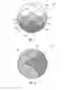 Fig. 03 - Occlusive devices