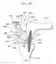 Fig. 43 - METHOD AND APPARATUS FOR FEMORAL RESECTION ALIGNMENT