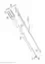 Fig. 03 - Spinal Fixation System