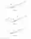 Fig. 09 - Flexible bone implant