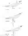 Fig. 10 - Flexible bone implant