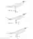 Fig. 11 - Flexible bone implant