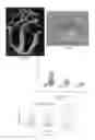 Fig. 07 - Catheter device for transmitting and reflecting light