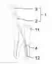 Fig. 01 - METHOD FOR PRODUCING BLANKS FOR ENDODONTIC INSTRUMENTS, AND SUCH BLANKS