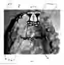 Fig. 14 - Orthodontic appliance for distalization and/or space closure