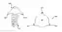Fig. 01 - Tools and methods for treatment of pelvic conditions