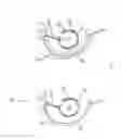 Fig. 08 - Electromyographic sensing and vision modification