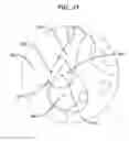 Fig. 13 - BIOABSORBABLE MULTILAYER NASAL VALVE SPREADER GRAFT