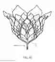 Fig. 19 - Methods for delivery of prosthetic mitral valves