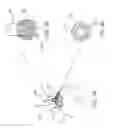 Fig. 35 - Methods for delivery of prosthetic mitral valves