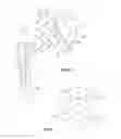 Fig. 05 - VARIABLE PROSTHESIS