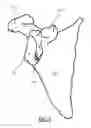 Fig. 03 - Methods, Devices and Techniques for Improved Placement and Fixation of Shoulder Implant Components