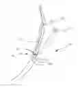 Fig. 01 - Bougie including a light source for performing gastroplasty