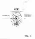 Fig. 04 - FEMALE URINARY BARRIER SYSTEM