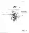 Fig. 06 - FEMALE URINARY BARRIER SYSTEM