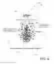 Fig. 07 - FEMALE URINARY BARRIER SYSTEM