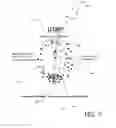 Fig. 08 - FEMALE URINARY BARRIER SYSTEM