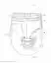 Fig. 01 - Product line of absorbent article