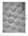 Fig. 28 - Product line of absorbent article