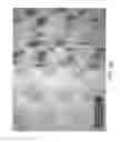 Fig. 32 - Product line of absorbent article