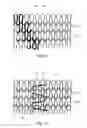 Fig. 08 - Compression and Sensing System and Method