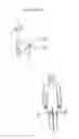 Fig. 30 - Synergistic Posture System