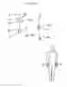 Fig. 32 - Synergistic Posture System
