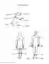 Fig. 37 - Synergistic Posture System