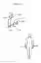 Fig. 41 - Synergistic Posture System