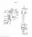 Fig. 48 - Synergistic Posture System