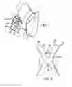 Fig. 02 - Bottle Holding Harness