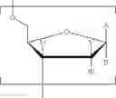 Fig. 29 - PHASE-STABLE SUNSCREEN COMPOSITIONS COMPRISING AN ULTRAVIOLET RADIATION-ABSORBING COMPOUND AND SUPERHYDROPHILIC AMPHIPHILIC COPOLYMERS
