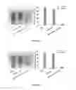 Fig. 05 - Hydrogel toxin-absorbing or binding nanoparticles