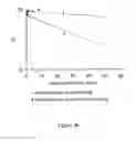 Fig. 24 - Liposomes Useful for Drug Delivery