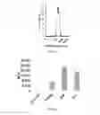 Fig. 05 - Compositions and methods for modified dendrimer nanoparticle delivery