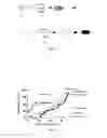 Fig. 07 - Compositions and methods for modified dendrimer nanoparticle delivery
