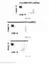 Fig. 12 - Compositions and methods for modified dendrimer nanoparticle delivery
