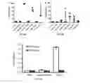 Fig. 14 - Compositions and methods for modified dendrimer nanoparticle delivery
