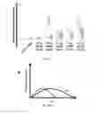 Fig. 15 - Compositions and methods for modified dendrimer nanoparticle delivery
