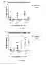 Fig. 24 - Compositions and methods for modified dendrimer nanoparticle delivery