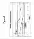 Fig. 04 - ALCOHOL RESISTANT DOSAGE FORMS