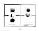 Fig. 24 - Compositions and methods for reducing overdose