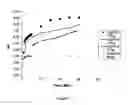 Fig. 06 - Compositions and methods for reducing overdose