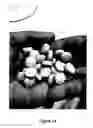 Fig. 30 - Compositions and methods for reducing overdose