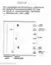 Fig. 04 - COMPOSITIONS COMPRISING CANNABINOIDS FOR TREATMENT OF NAUSEA, VOMITING, EMESIS, MOTION SICKNESS OR LIKE CONDITIONS