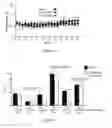Fig. 07 - Compositions and methods relating to proliferative diseases